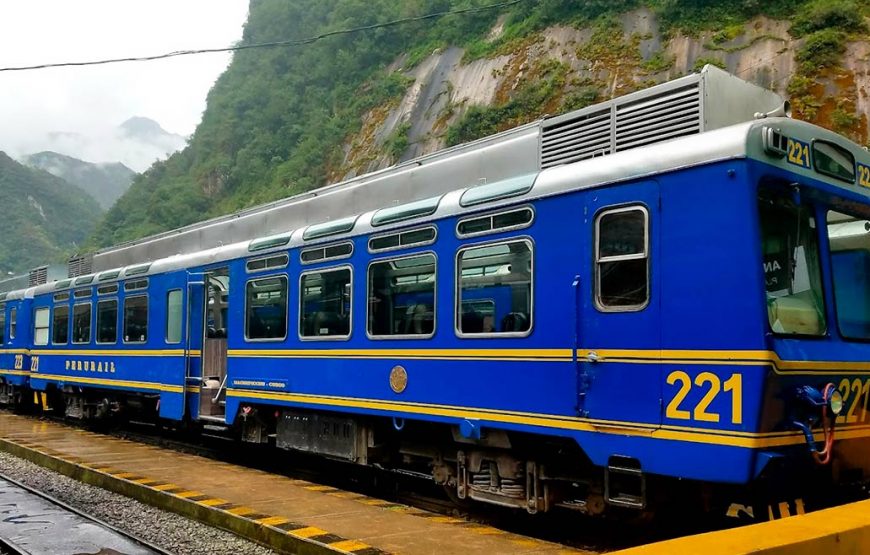 Tour to Machu Picchu with a Expedition tourist train Full Day